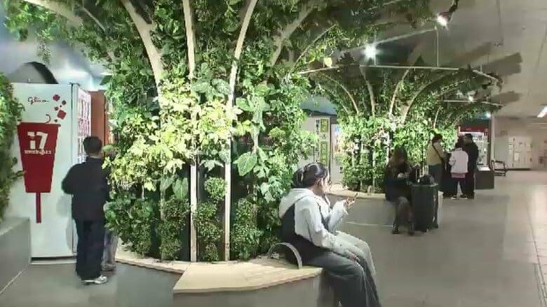 “緑のスポット”が地下鉄福岡空港駅に　約1500本の観葉植物などがお出迎え　大規模緑化プロジェクトの一環　3月には博多駅も｜FNNプライムオンライン