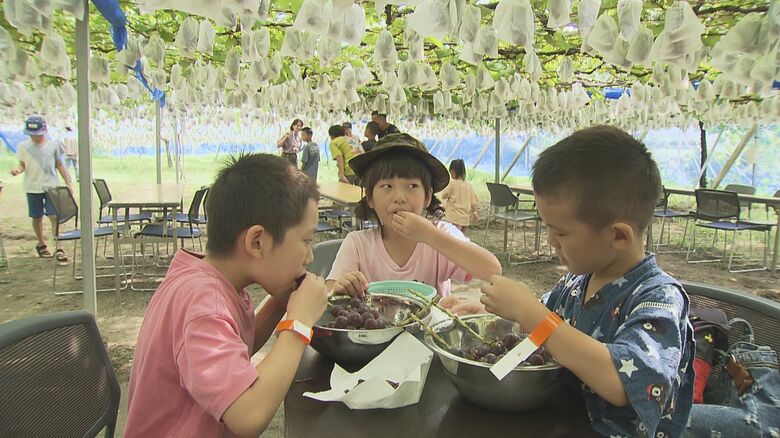 台風10号の影響で大雨予想…夏休み最後の土日に相次ぐ“キャンセル” かきいれ時の観光施設は頭悩ませる｜FNNプライムオンライン