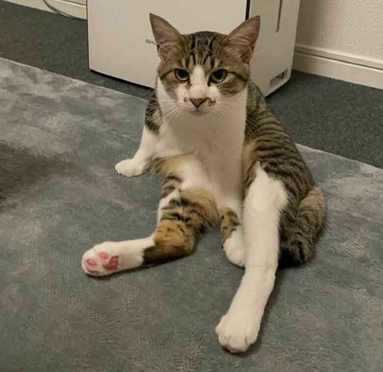 不思議な座り方