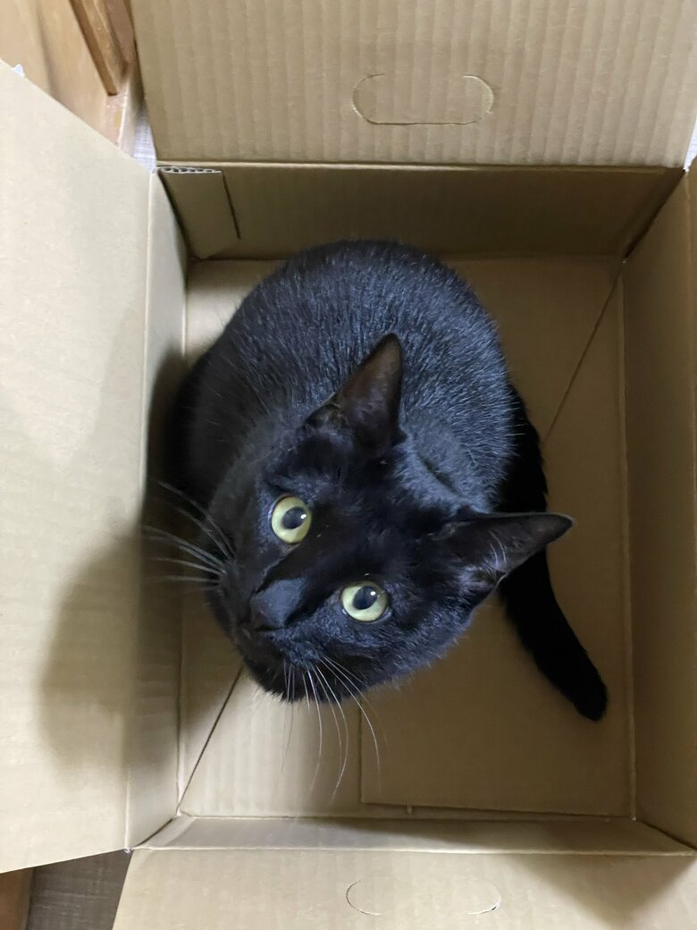 提供：マクーさん