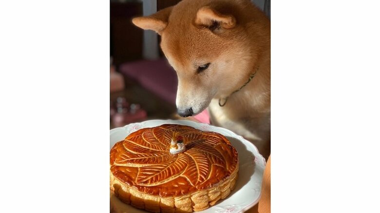 「いいよー」と言われるまで待つ