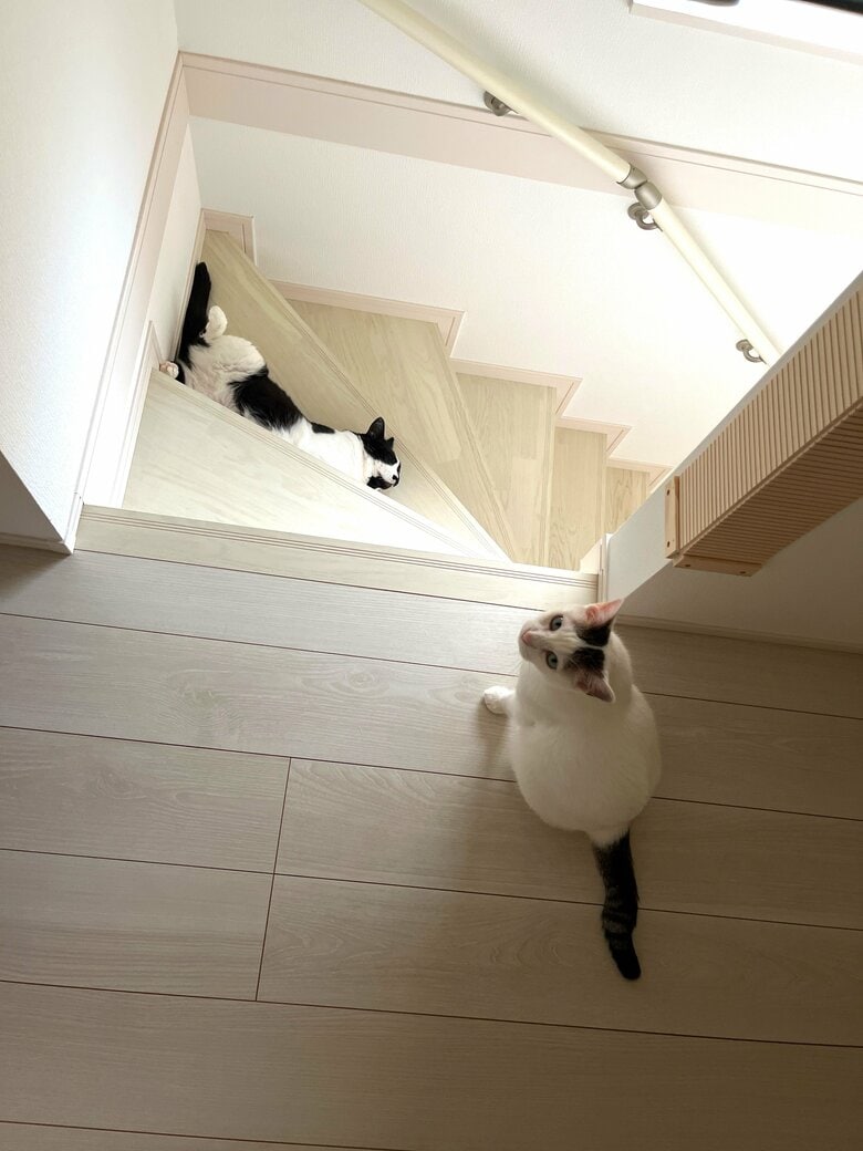 提供：卵山玉子先生