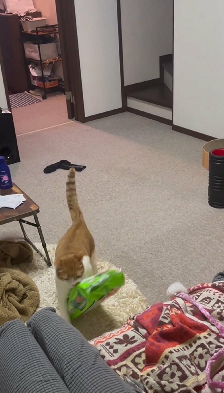 ソファ下まで運んで