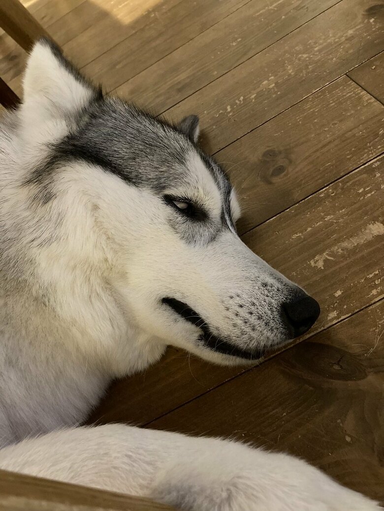 白目でぐっすり