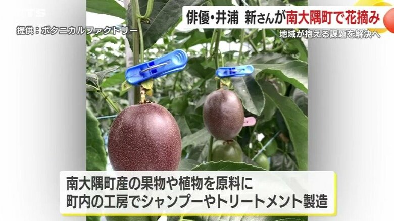 シャンプーなどの原料は、果物や植物