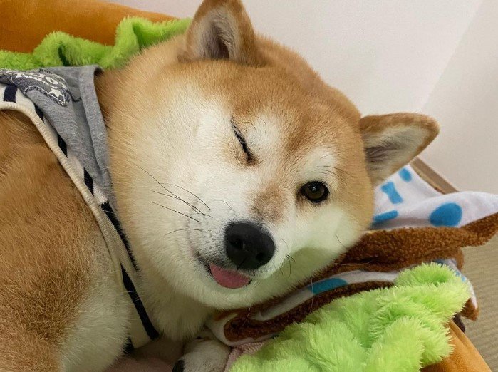 提供：yasumi.219さん