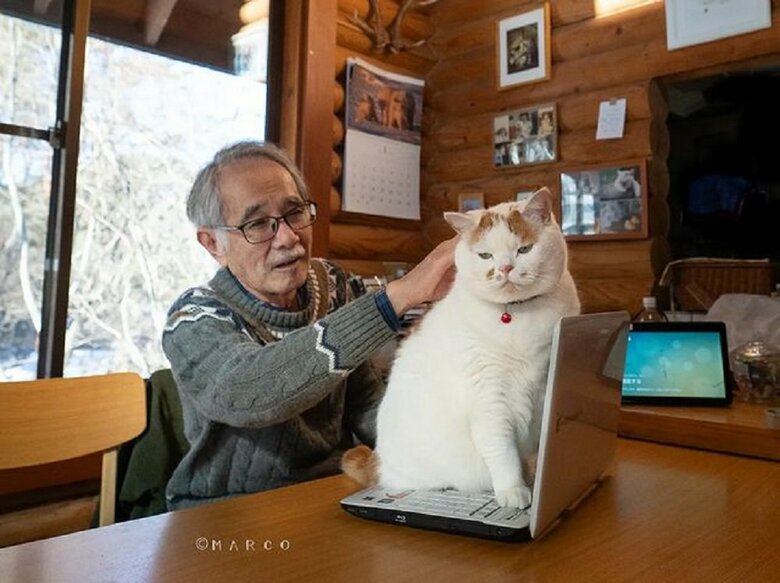 メイくんをなでると…（提供：MARCOさん）