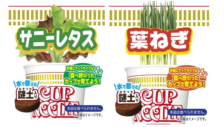 （提供:日清食品）※画像はイメージ