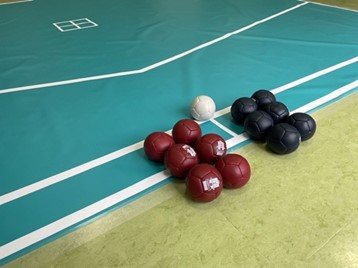 ボッチャのボール　紀子さま撮影