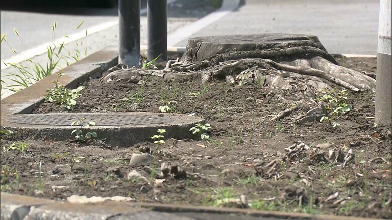 ビッグモーター富士店前から植え込みまで”消えた”