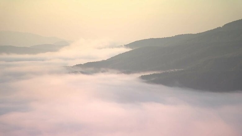 一面に広がる「雲海」（遠野市の高清水展望台、午前6時頃）