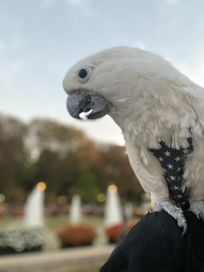 いい天気だなぁ