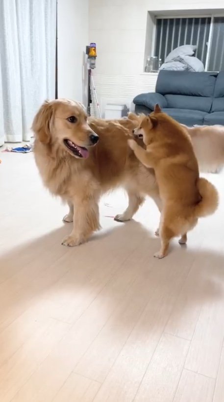 提供：うにandおからさん