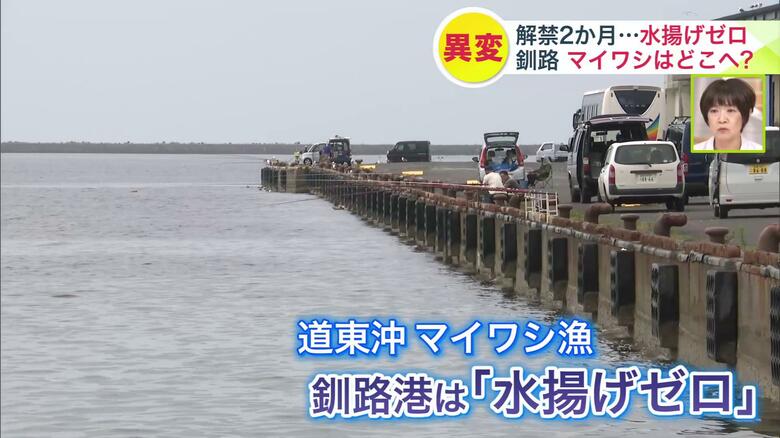 約2か月、釧路港でマイワシ水揚げゼロの状態が続く
