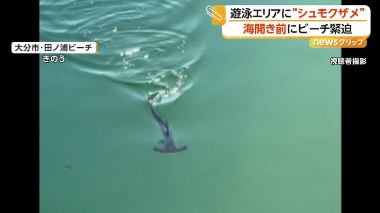 海面から突き出た背びれ（18日、大分市）