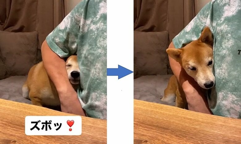 「ズボッ」の指示を聞くと、すぐさま披露してくれた