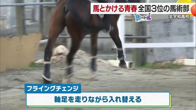 馬の軸足を替える「フライングチェンジ」