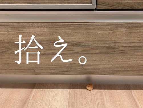 床に落ちているのは梅干しだそう