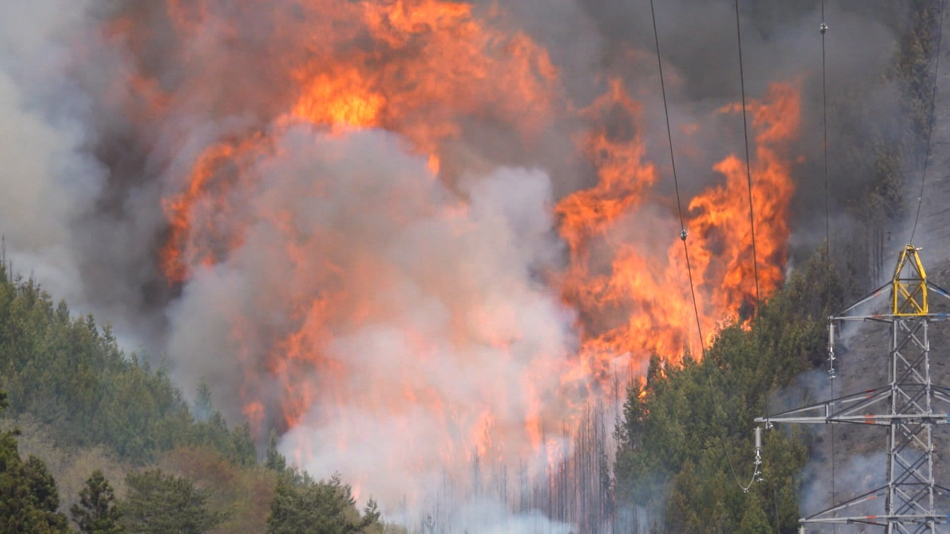 岩手・大槌町の山火事の焼失面積「羽田空港」超え　土の中に“くすぶる火”　ついに雨降るも1時間降水量は2.5ミリ程度