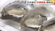 北中城村「牡蠣養殖」実証実験報告会