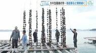 日本一のカキの産地広島　今年のカキはどうなる？　出荷は11月2日以降　生産者が独自に手探りの対策
