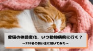 愛猫の食欲が落ちても「2～3日様子を見る」飼い主が54.6%--様子見の理由は「軽い症状なら自然に回復すると思うから」が68.6%で最多（猫の飼い主328名へのアンケート調査）