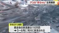 “山形ブランド”にこだわり育てる　アユの赤ちゃん放流まで中間育成施設で約10センチに　山形・舟形町