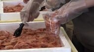 日本海近海の底引き網漁解禁　名物・甘エビの詰め放題が大人気　海鮮丼やみそ汁も　三国港市場で祭り【福井】