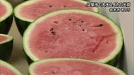 ＪＡ菊池で大玉スイカの出荷【熊本】