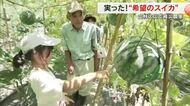 岡山市南区の大規模山林火災で倉庫や大事な種を失うも…苦難乗り越えた農園でスイカを味わえる喜び【岡山】