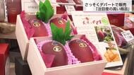 完熟マンゴー「太陽のタマゴ」販売解禁　デパートでは1玉10万円超も