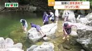 「ひんやりとして気持ちいい」涼を求めて五島市のドンドン渕へ