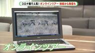 4000円でケニアのサファリへ…10万人超利用の「オンラインツアー」　令和版やじきた道中”も