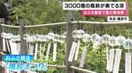 3000個を超える風鈴が一斉に鳴り響く　「おふさ観音」で夏の風物詩・風鈴まつり　色とりどりの風鈴が参拝客を魅了　奈良・橿原市