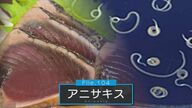 「とどまる限り痛みは続く」アニサキス食中毒　お酢や醤油 アルコールで死滅できない　家庭調理のポイントは鮮魚の“早めの内臓処理” 【新潟発】