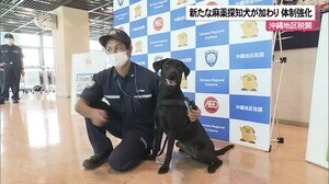沖縄地区税関に新たな麻薬探知犬が仲間入り