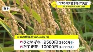 コメの概算金下落は“災害” 「ひとめぼれ」価格急落で県に支援〈宮城〉