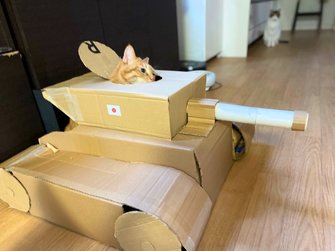 夫が段ボールで作った 猫戦車 が可愛い いい表情だが気に入ってくれたのか聞いた