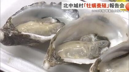 北中城村「牡蠣養殖」実証実験報告会