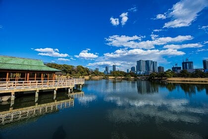 2025年4月版のデータ整備を行いました。