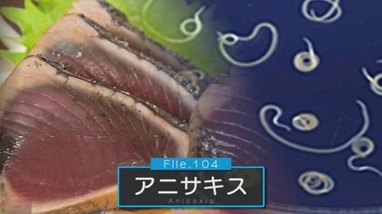 「とどまる限り痛みは続く」アニサキス食中毒　お酢や醤油 アルコールで死滅できない　家庭調理のポイントは鮮魚の“早めの内臓処理” 【新潟発】