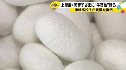 美智子さまに贈った「牛首紬」 津幡高校の生徒が10年かけて育てた玉小石の糸