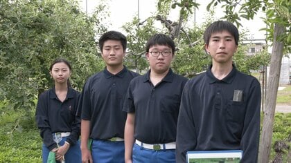 高校生の研究がカラスを追い払う…廃棄品「湯の花」でリンゴの食害防ぎ注目 【秋田発】