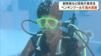 ダイバ―や飼育員など夢を持つ高校生に経験を　宇多津町の水族館でペンギンプール清掃の潜水実習【香川】