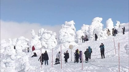 銀世界に幻想的な“スノーモンスター”！蔵王のシンボル「樹氷」が見頃　寒波続きで大きく成長し見応え抜群【山形発】