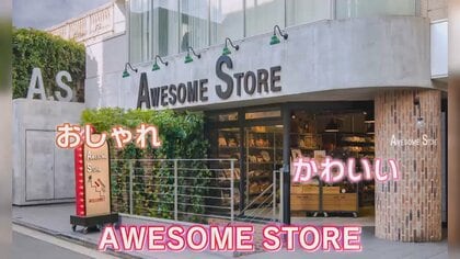 「倒れない車内用ゴミ箱」「車内が濡れない傘ケース」安くてかわいいと女性に人気のカーグッズTOP5