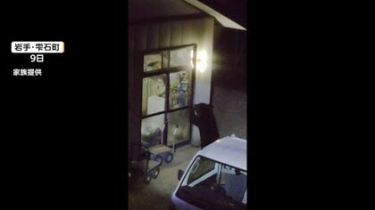 住宅にクマ侵入相次いだ岩手・雫石町で1頭駆除　DNA鑑定へ　八幡平市では73歳女性が襲われけが　牛舎のエサ狙ったか