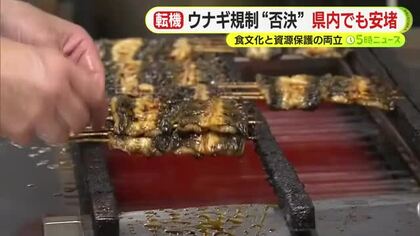 ウナギの輸出規制「否決」に静岡県内の料理店でも安堵の声　12月の本会議で正式決定の見通し