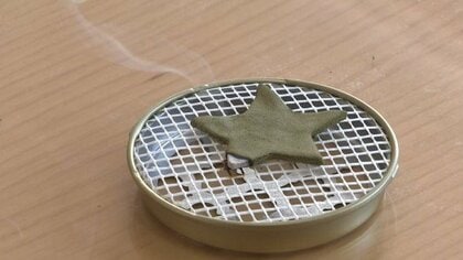 「蚊」が原因で命を落とす例も…侮ってはいけない夏の厄介者対策に「手作り蚊取り線香」＆話題沸騰「おにやんま君」