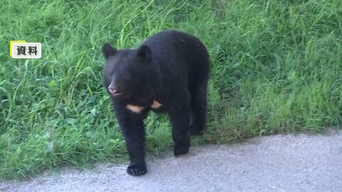 東京海上が“クマ保険”販売へ…施設侵入による営業停止の損失補償　ホテルやゴルフ場などが対象